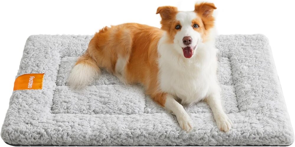 Hundedecke Haustierdecke für Hunde Katzen 90x65 cm L Rutschfest Waschbar Grau