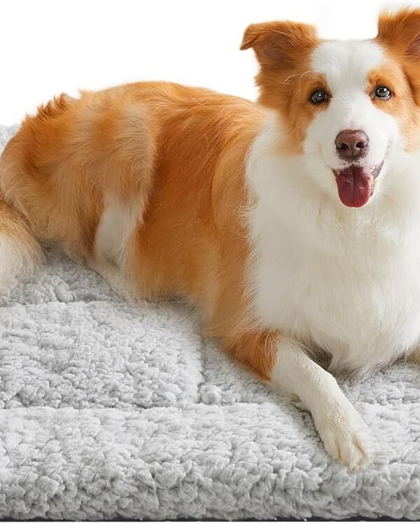 Hundedecke Haustierdecke für Hunde Katzen 90x65 cm L Rutschfest Waschbar Grau