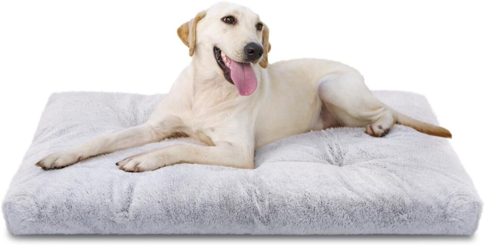 Hundebett: Waschbares XXL Hundebett (110x73x10 cm) für große Hunde – super weiches und flauschiges Anti-Angst Hundekissen mit rutschfestem Boden und Hundematte.