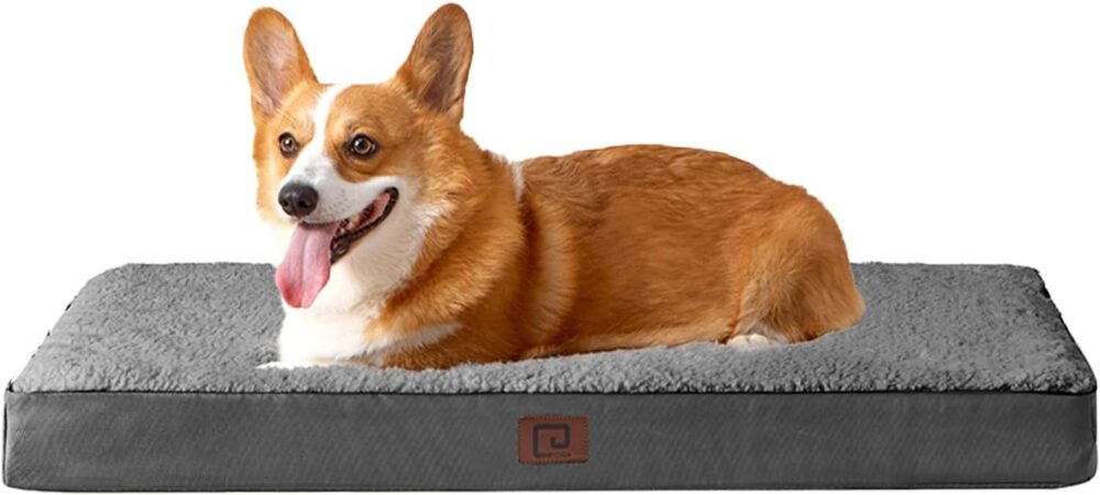 Orthopädisches Hundebett für mittelgroße Hunde | Flauschiges, waschbares Hundekissen mit abnehmbarem Bezug, ideal für Boxen und Kisten
