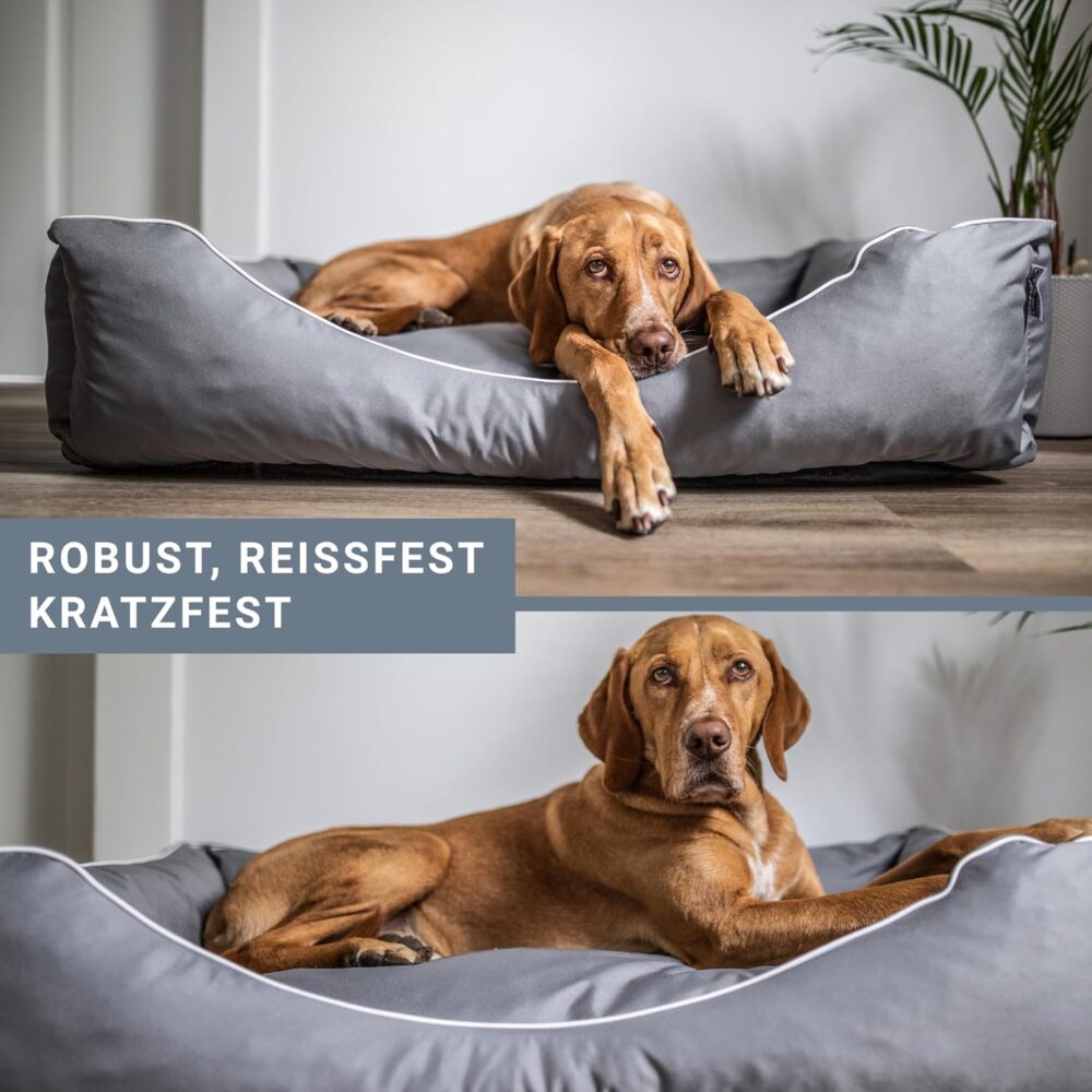 Hundebett XXL 100x80x25 cm Blau, Waschbar & Robust, Gemütlicher Hundekorb für mittelgroße Hunde – Bild 2