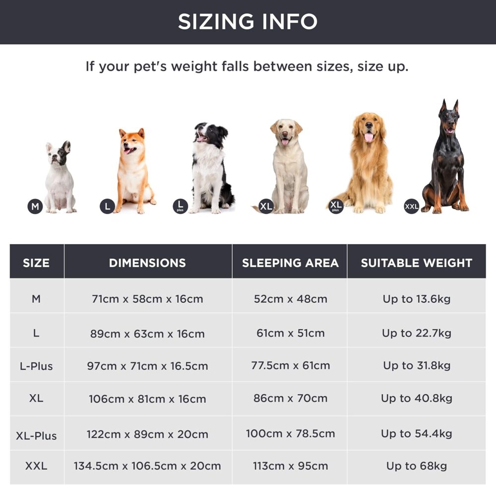 Orthopädisches Hundebett – Ergonomisches Hundesofa 89x63 cm mit Eierförmigem Kistenschaum, Waschbar & Rutschfest für Mittlere Hunde | Grau – Bild 3