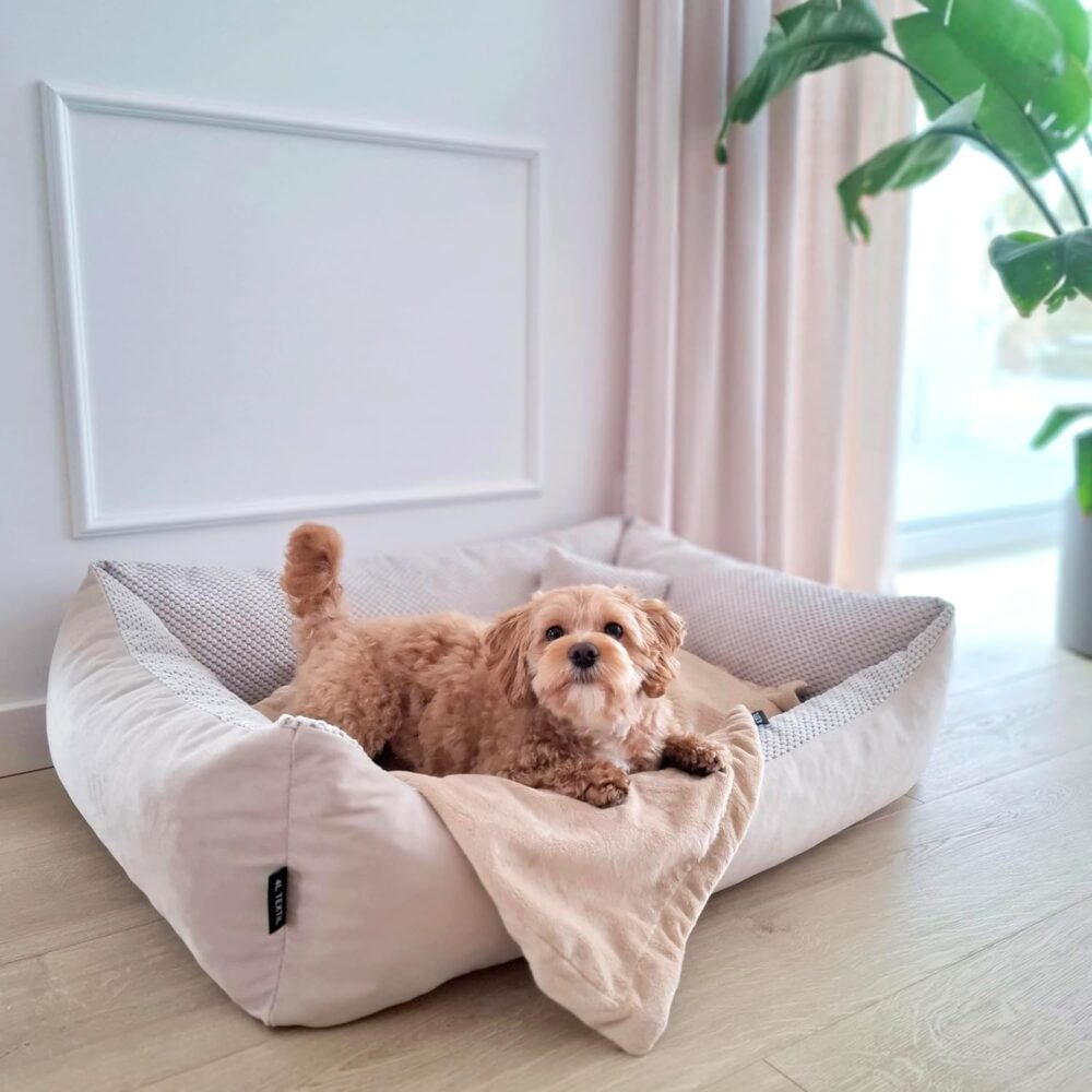 Teo Kuscheliges Hundebett – Flauschiges Hundekissen & Hundesofa mit Waschbarem Bezug für Mittelgroße Hunde (60x40 cm, Beige) – Bild 4