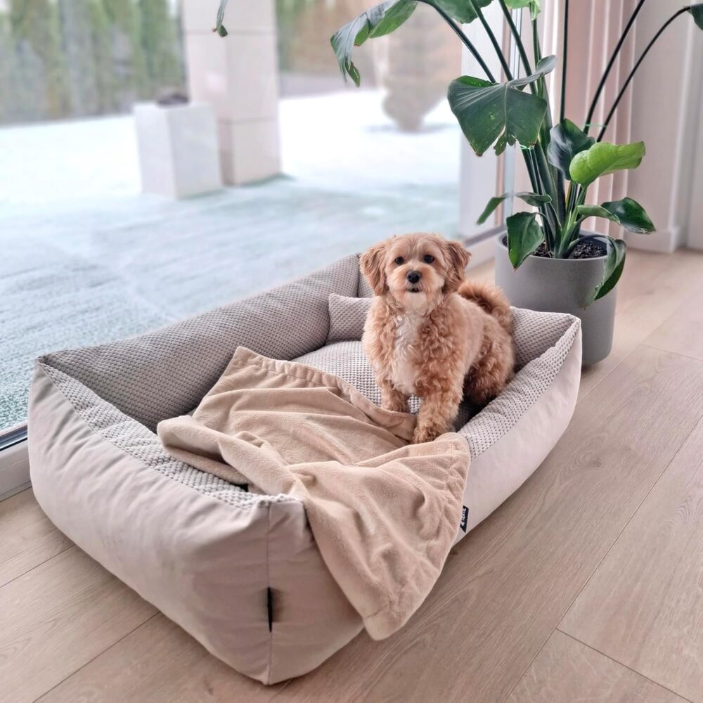 Teo Kuscheliges Hundebett – Flauschiges Hundekissen & Hundesofa mit Waschbarem Bezug für Mittelgroße Hunde (60x40 cm, Beige) – Bild 8