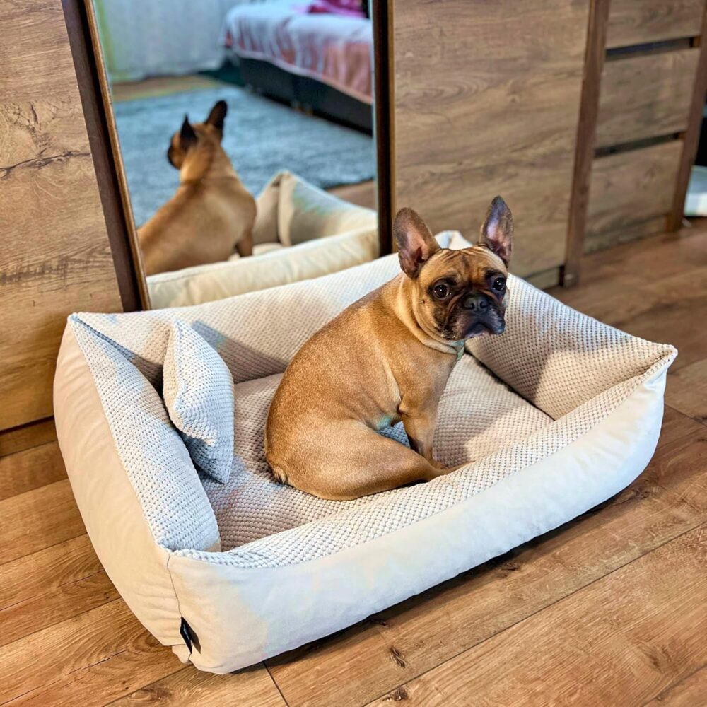 Teo Kuscheliges Hundebett – Flauschiges Hundekissen & Hundesofa mit Waschbarem Bezug für Mittelgroße Hunde (60x40 cm, Beige) – Bild 9
