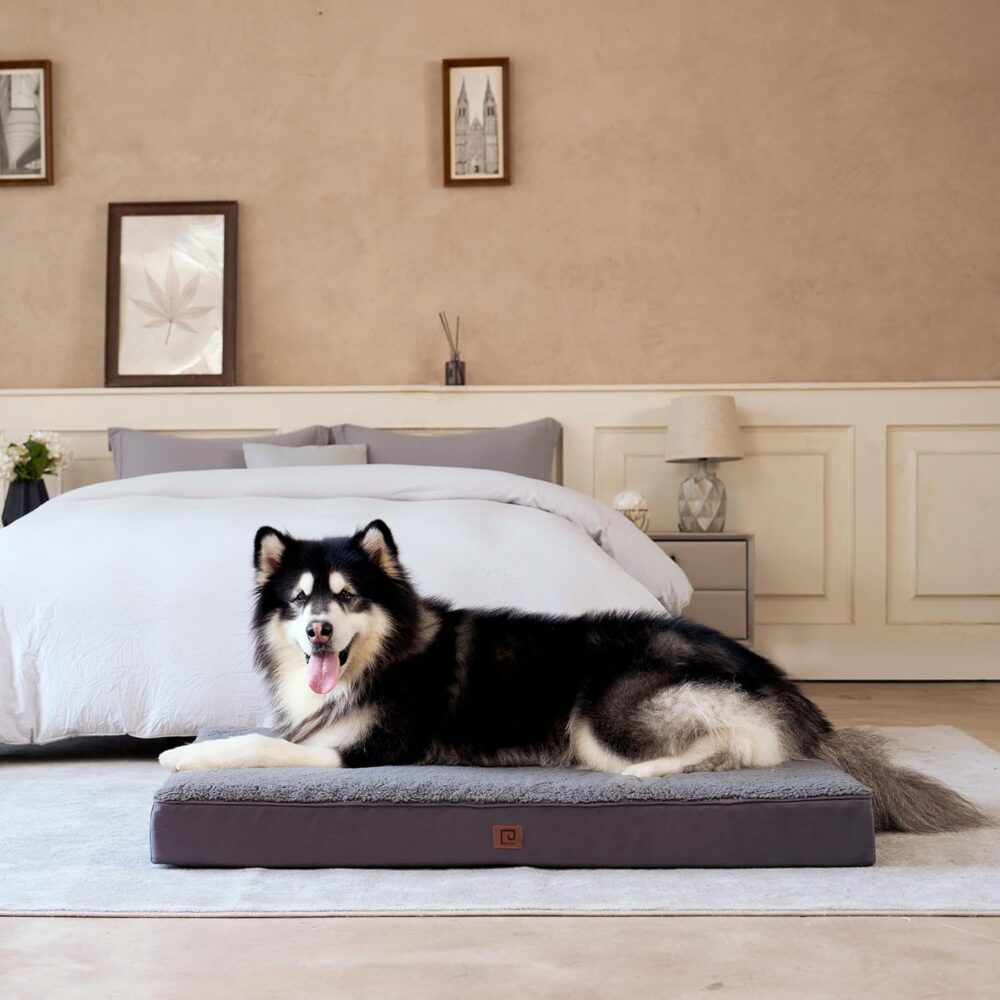 Orthopädisches Hundebett für mittelgroße Hunde | Flauschiges, waschbares Hundekissen mit abnehmbarem Bezug, ideal für Boxen und Kisten – Bild 9