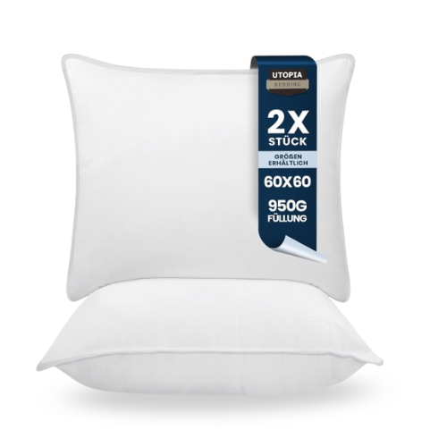 Kissen-Set 2 Stück 60x60 cm, atmungsaktiv & weich weiß
