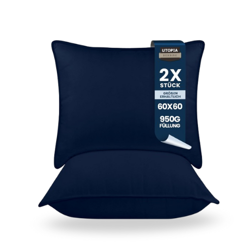 Kopfkissen 2er Set 60x60 cm, atmungsaktiv & weich blau